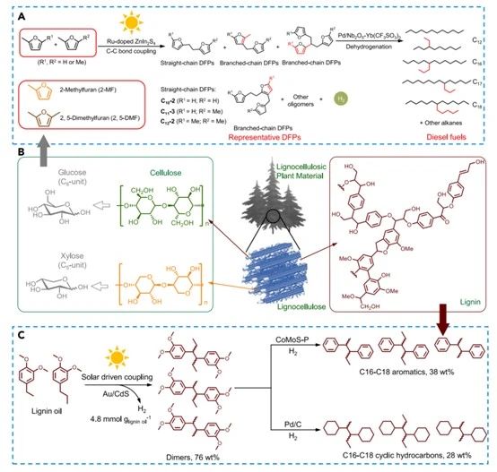 图a.光催化制氢与甲呋喃生产生物柴油前驱体耦合；图b.木质纤维素复合材料；图c.木质素油光催化制氢耦合生物柴油前驱体